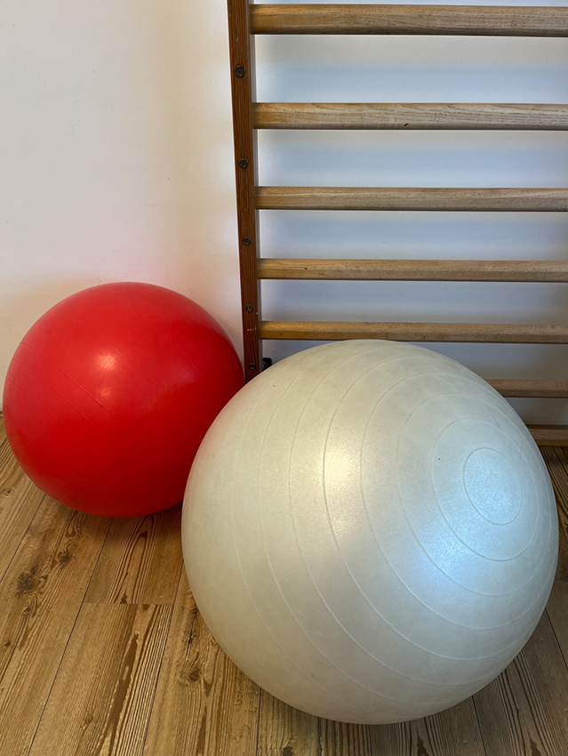 Balanstherapie Dunnewolt