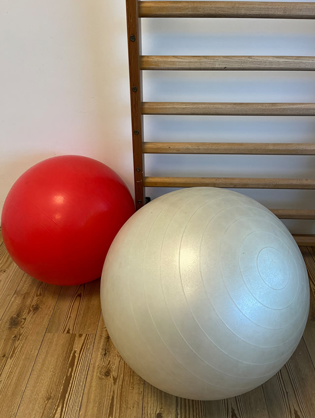 Balanstherapie Dunnewolt